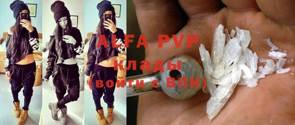 индика Кущёвская