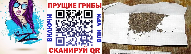 Псилоцибиновые грибы MAGIC MUSHROOMS  Купить закладки  Сухиничи 